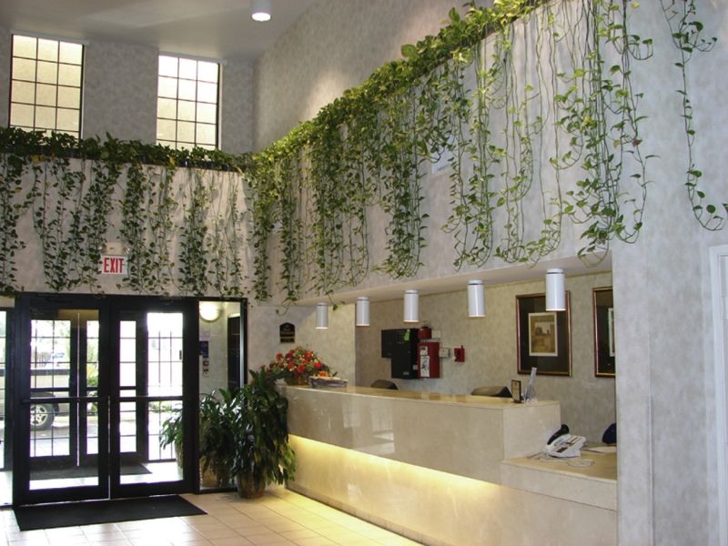 Quality Inn & Suites Airport Остин Екстериор снимка